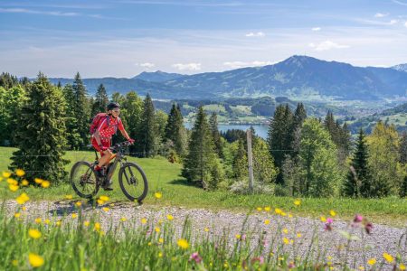 Beginner Mountain Bikes for Under $2,000 in 2021